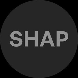 Shapesis a series of gen art made by using your wallet’s addres